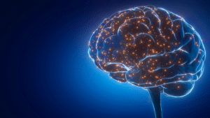 Digital illustration of a glowing brain with orange neural connections