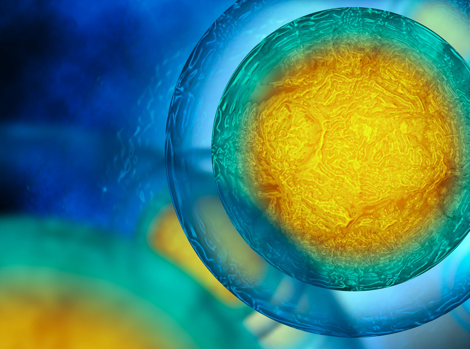 cells