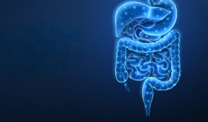 Abstract wireframe intestinal human digestive system. Gut health bowel disease gastrointestinal tract.