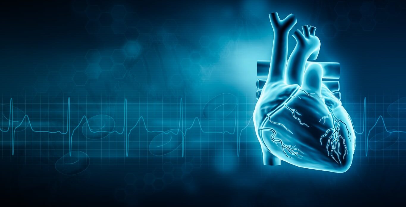 Human heart and EKG waveform 3D rendering