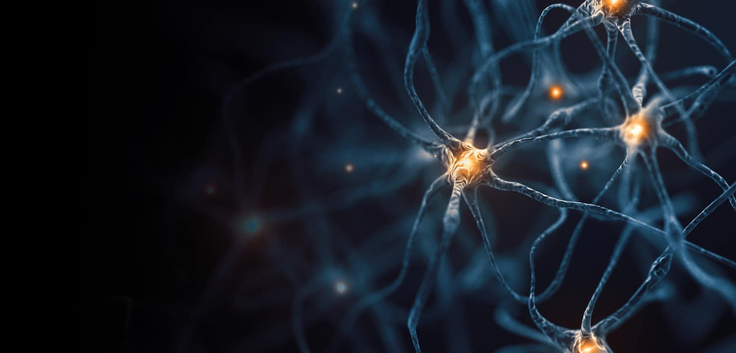Neurons 3D Rendering